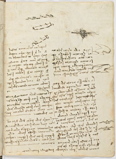 Codice sul volo degli uccelli, c. 1505-06, manoscritto su carta, cc. 18, foglio 18 recto da Leonardo da Vinci